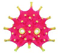 Generisch Hworks Pink Mask Party Half Face Cover Anti Epidemic Halloween Cosplay Prop