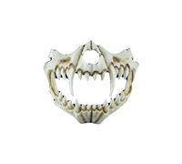 Generisch Hworks The Dragon Fierce Tiger Mask Resina Half Face Cover Halloween Cosplay Prop