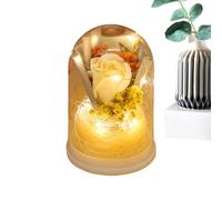 Generisch, Lampada da Comodino a LED con Bouquet di Rose in | Compleanno per Le Donne - per Madre Donne, Nonna, Sorella, Figlia, Moglie Il Vostro San FID