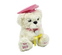 Generisch Laurea - Regalo di addio peluche peluche orso dolce per laureati 2026 | Per l'asilo, la scuola elementare, la scuola secondaria, l'università, le feste di laurea