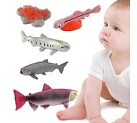 Generisch Life Cycle Toys - Personaggi realistici animali | Science Learning & Education Toys | Teaching Aids for Kids 3+, Frog Butterfly Ladybug Growth Stage Models, Preschool Activity Games, Gift
