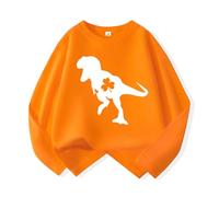 Generisch Maglietta a maniche lunghe con stampa di dinosauri per ragazzi e ragazze, girocollo, comodo abbigliamento casual per tutti i giorni all'aperto, Colore: arancione., 7-8 Anni