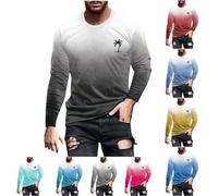 Generisch Maglietta da uomo a maniche lunghe, basic, a maniche lunghe, per il tempo libero, a maniche lunghe, alla moda, a maniche lunghe, a girocollo, oversize, con sfumatura, sottile, a maniche