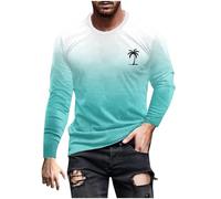 Generisch Maglietta da uomo a maniche lunghe, basic, a maniche lunghe, per il tempo libero, a maniche lunghe, alla moda, a maniche lunghe, a girocollo, oversize, con sfumatura, sottile, a maniche