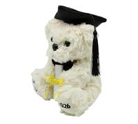 Generisch Orso di fine anno, peluche per la laurea, orsetto di peluche per l'annata 2026, per l'asilo prescolare, scuola elementare, studenti universitari, bambini e ragazzi