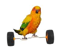 Generisch Parrot Training Balance Roller | Veicolo di equilibrio per asta di sedile, per la casa e gli animali domestici