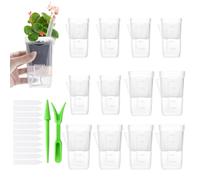 Generisch Pentole autoirriganti - Set di 12 scatole trasparenti idroponiche con fori di scarico, vasi da coltivazione con indicatore del livello 'acqua, per soggiorno, balcone, terrazza, giardino