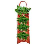 Generisch per piante di fragole da appendere al rovescio | Sacchetti per piante di ortaggi per carote, cipolle, pomodori, patate, rose, fragole e verdure