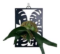 Generisch Portafogli da parete - Aesthetic Moderns Flowerpot Display Frame | Plant Wall Mount Holder Frame Display for Porch Window Sill Patio Entrance Living Room Indoor Outdoor