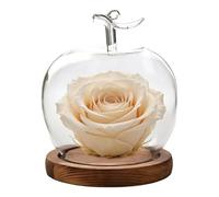 Generisch Preserved Flower Glass Dome Fruit Shape Desktop Decoration Glass Cloche for Collectors Home Office Retail Store Wedding Jewelry Collectibles Figures Dolls Dining Table Souvenirs