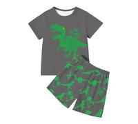 Generisch Set di abbigliamento composto da maglietta e pantaloncini con stampa dinosauro per ragazzi per il tempo libero e lo sport (verde militare, 3-4 anni), abbigliamento estivo per bambini, grigio