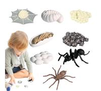 Generisch Set per il ciclo di vita delle formiche, da 2 a 9 cm, grande set di personaggi educativi per la crescita degli animali, con materiale sicuro di alta qualità, giocattolo scientifico per