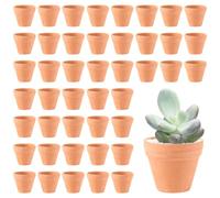 Generisch SHUESS - Set di 48 mini vasi da fiori in argilla, 3,5 x 3 cm, piccoli con foro di drenaggio per fai da te, in terracotta, per dipingere piante grasse