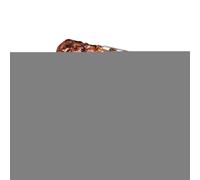 Generisch Supporto per costine per barbecue, con 4 fessure, antiaderente, pratico supporto per griglia per tacchini, per casa, picnic, barbecue, all'aperto, campeggio, cortile, feste, riunioni