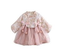 Generisch Toddler Kids Baby Children Fairy Dresses for Chinese New Year Fleece Lined Warm Dresses Embroidery Tang Suit with Bag Performance Costumes Baby Girls Mesi, Colore: rosa., 18-24 Monate
