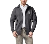Generisch Trachtenjanker, da uomo, a maniche lunghe, sportivo, con capriolo, moderno, leggero, con chiusura lampo, traspirante, per attività all'aperto, Oktoberfest, P grigio., L