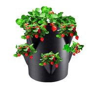 Generisch Vaso per piante di fragola, fragola, per fragole, fragole, giardino, fragole, torre di fragole, vasi da giardino, in tessuto non tessuto, traspirante, portatile per il cortile