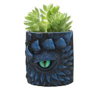 Generisch Vaso per piante | Vaso da fiori con occhio di drago - Vaso decorativo in resina per casa, balcone, terrazza, decorazione da tavolo per interni