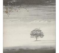 GENESIS - WIND & WUTHERING LP PINK CHARISMA LABEL (14776)