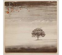 GENESIS - wind & wuthering LP