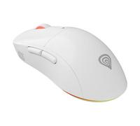 GENESIS Zircon XIII mouse Giocare Ambidestro RF Wireless + USB Type-C Ottico 26000 DPI