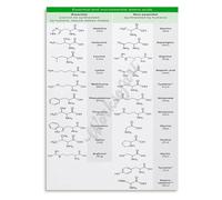 Genetic Code Chart Metal Tin Sign Amino Acids Biology Poster Vintage Science Classroom Decor Wall-Art for Student Dorm Library 8 X 12 inch