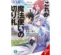THIS IS THE WIZARDS SECRET WEAPON LIGHT NOVEL 01