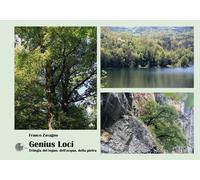 Genius loci. Trilogia del legno, dell'acqua, della pietra - 2024