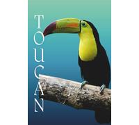 Gentle Animal Faces Composition: Toucan Themed College-Ruled Notebook, Journal For School, College and Office. Perfect gift for bird lovers.