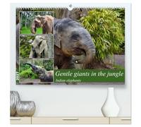 Gentle giants in the jungle (High Quality Premium Wall Calendar 2027 DIN A2 landscape),CALVENDO 12 Month Wall Calendar: Portraits of Indian elephants
