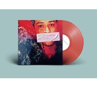 Gentle Sinners These Actions Cannot Be Undone (Vinyl LP)