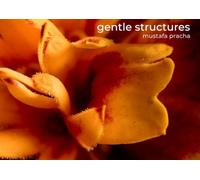 gentle structures: photographs of living moments