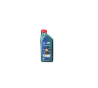 10 Litro Org Ford Castrol Magnatec A5 5W30 Olio Motore 15533B 15534F Set
