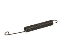 Genuine Hotpoint Lavastoviglie Door Spring C00075689
