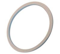 Genuine Indesit Asciugabiancheria a tamburo posteriore Seal C00113823