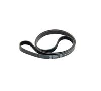 Genuine Lavatrice Indesit Cinghia 1195 H8 - C00082318