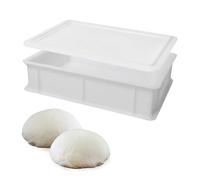 genus dei Dei | Cassetta per Lievitazione Pizza E Pane | | Contenitore Cibo per Impasto | Cassetta Portaimpasto | Scatola Plastica + Coperchio 30x40x10