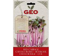 Geo Cavolo Rosso Semi da Germoglio, Marrone, 12.7x0.7x20 cm