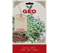 Geo Lino Semi da Germoglio, Marrone, 12.7x0.7x20 cm