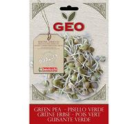Geo VPI2103 Pisello Verde Semi da Germoglio, Marrone