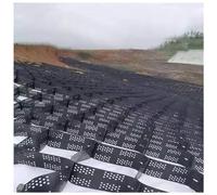Geogriglia per Giardini con Fori di drenaggio, stabilizzatore del Terreno a Nido d'Ape per Il Controllo dell'erosione del Suolo, 10x26 Piedi, 5 cm di Spessore, Ideale per pendii e Piccole pi