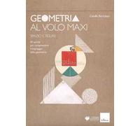 Geometria al volo maxi. 80 parole per comprendere il linguaggio della geometria. Spazio e figure