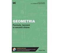 Geometria. Formule, teoremi e concetti chiave. Con estensioni online