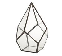 Geometrico Forma Di Vetro Fiori Pot Terrarium Box Succulent Plant Case Holder