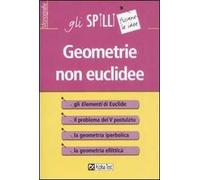 Geometrie non euclidee