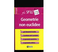 Geometrie non euclidee