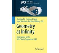 Geometry at Infinity: Final volume of the DFG Priority Programme 2026