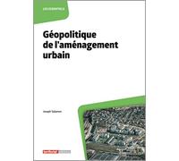 Géopolitique de l'aménagement urbain