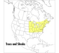 George A. Petrides A Field Guide to Trees and Shrubs (Tascabile)