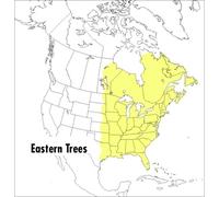 George A. Petrides Peterson Field Guide To Eastern Trees, A (Tascabile)